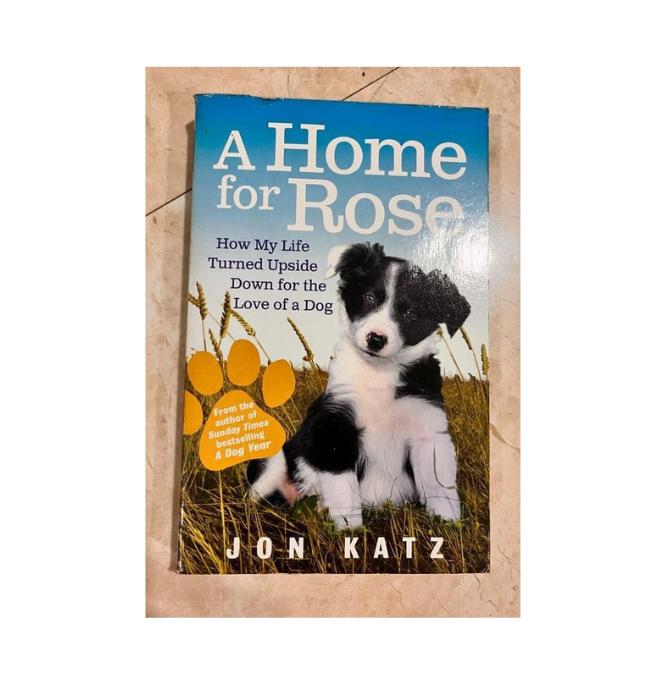 A Home For Rose